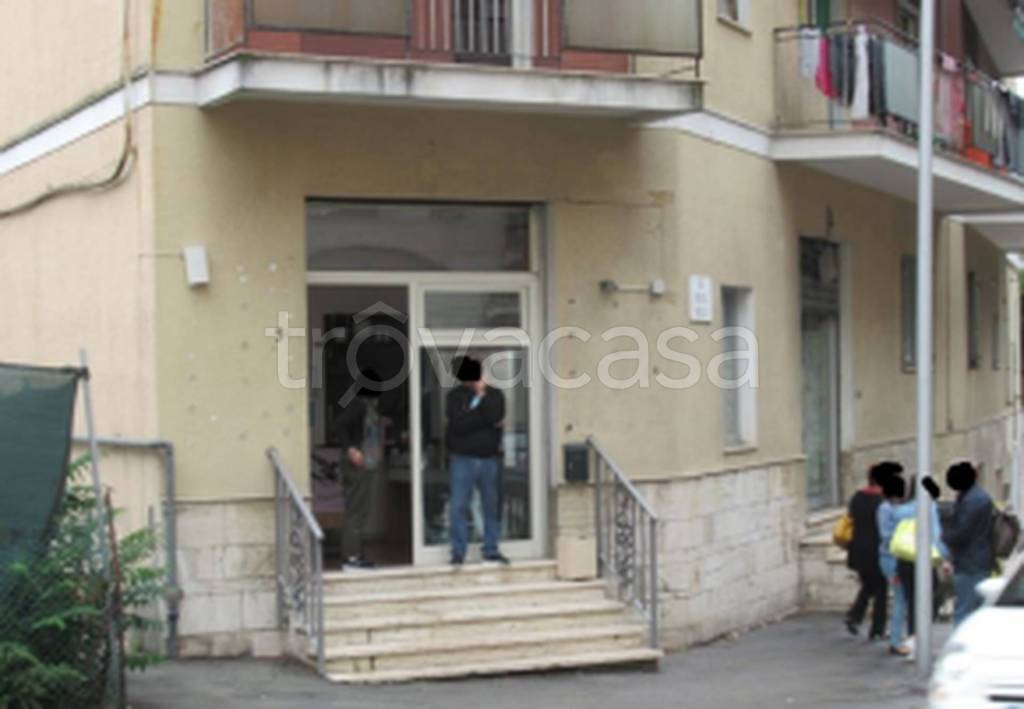 immagine annuncio 10 di 11