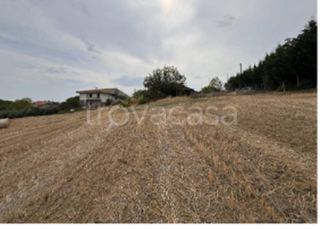 immagine annuncio 4 di 9