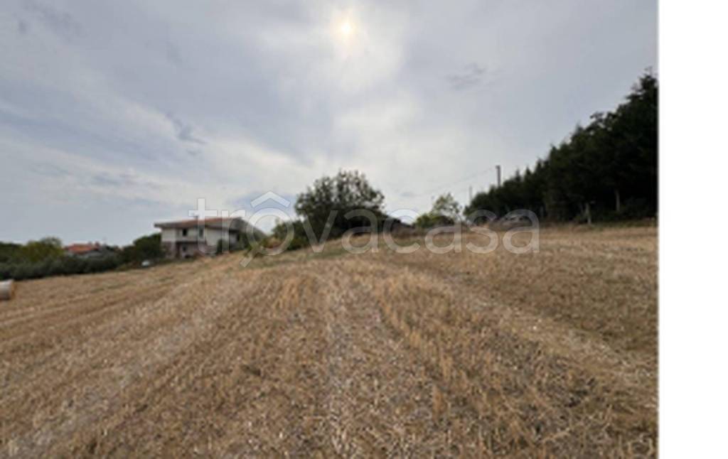 immagine annuncio 8 di 9