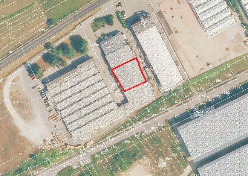 immagine annuncio 3 di 7