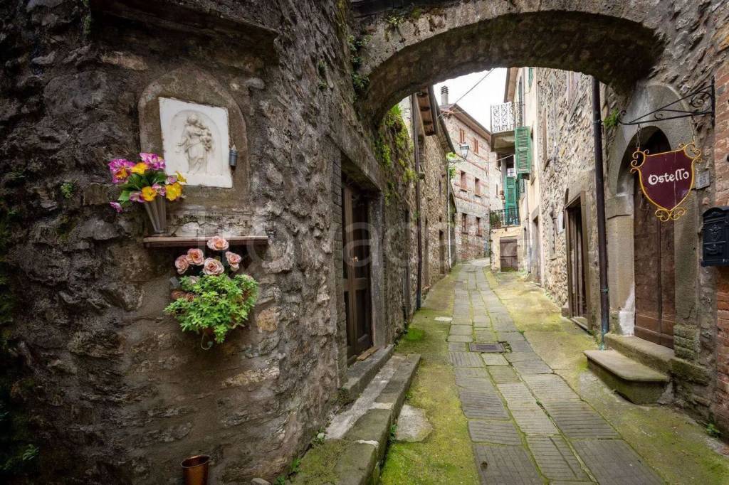 immagine annuncio 4 di 8