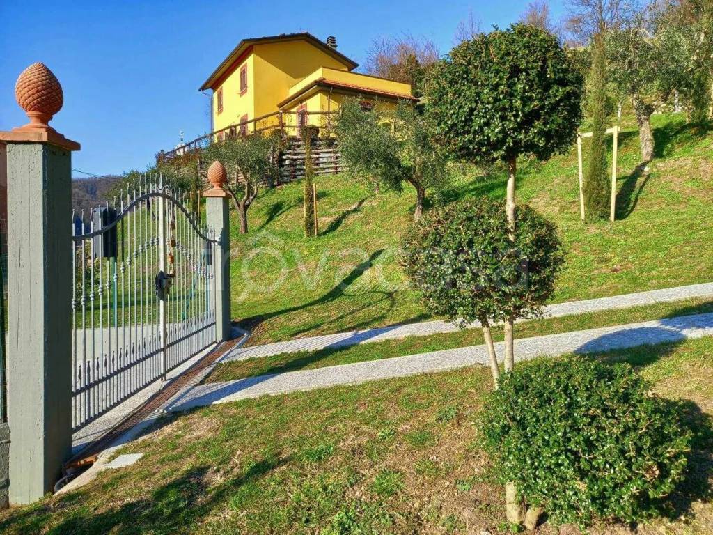 immagine annuncio 5 di 12