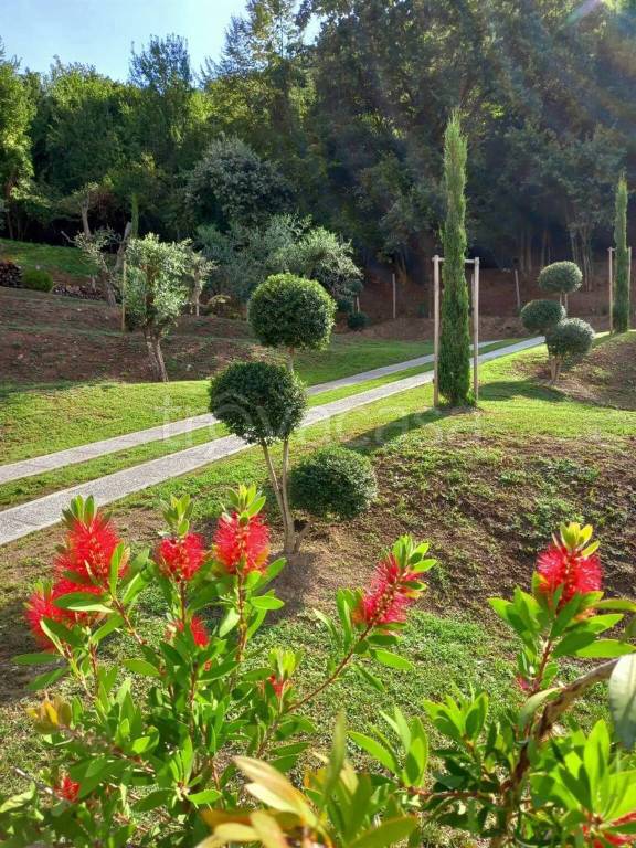 immagine annuncio 10 di 12