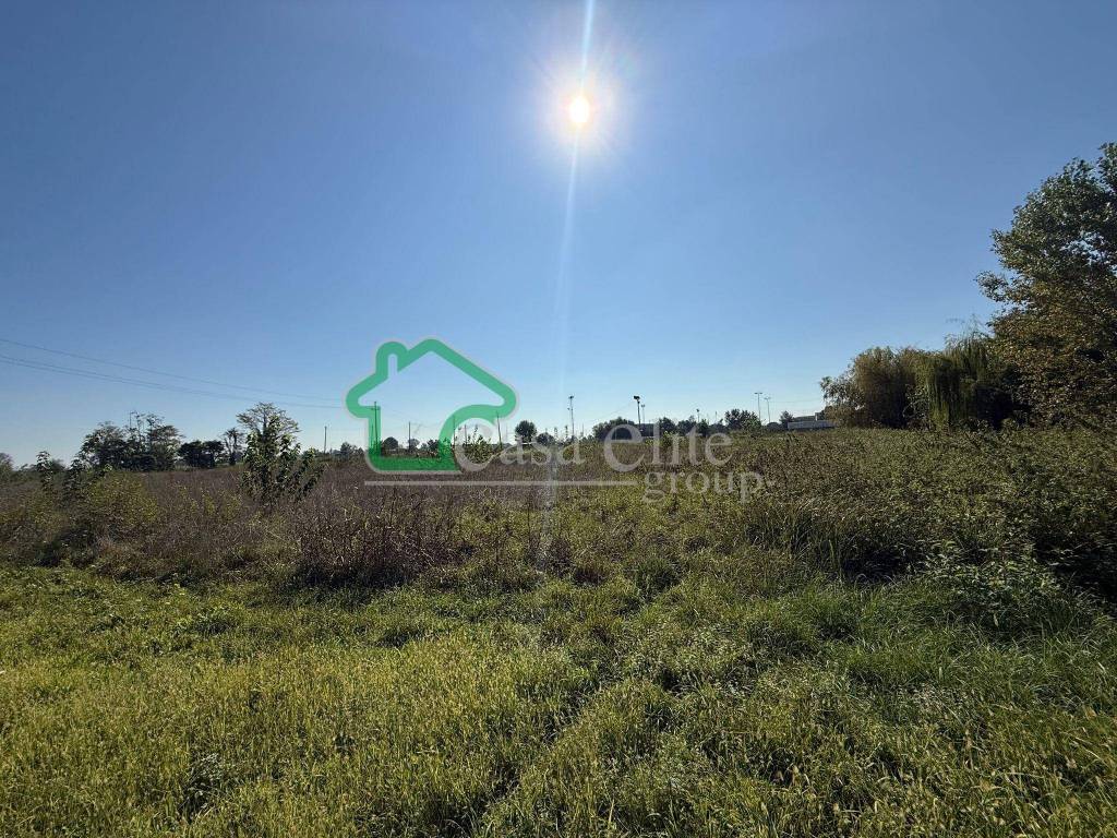 immagine annuncio 1 di 6