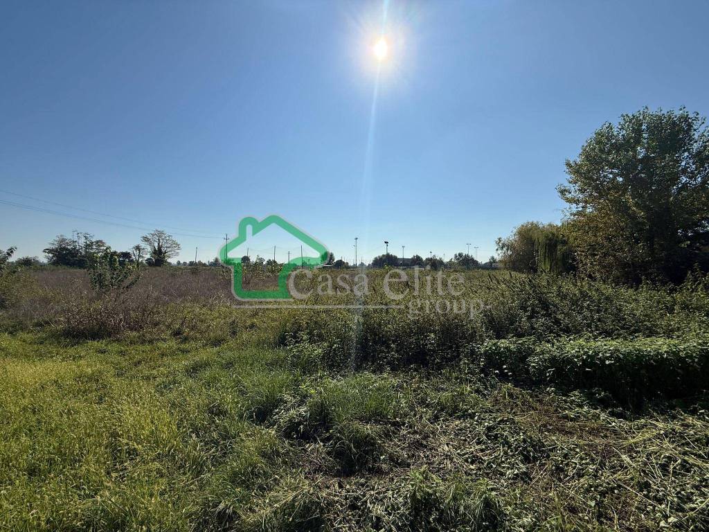 immagine annuncio 2 di 6