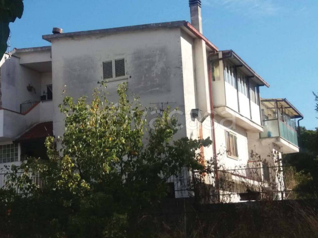immagine annuncio 3 di 12