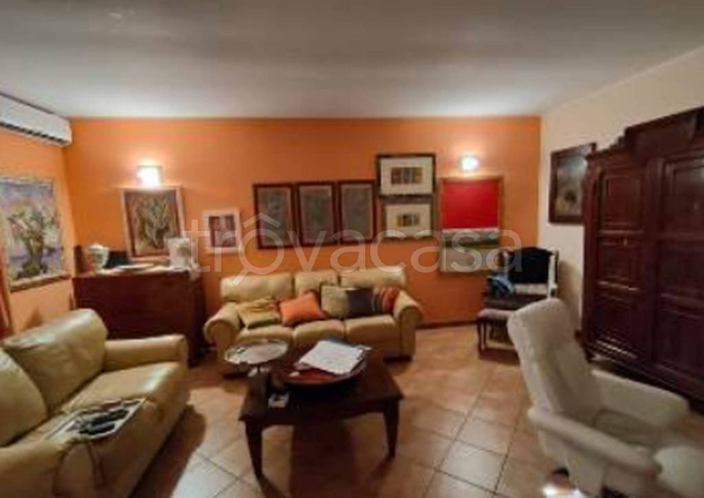 immagine annuncio 5 di 12