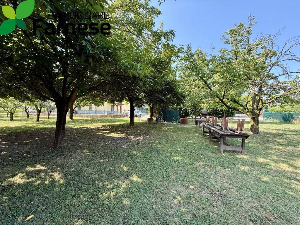 immagine annuncio 5 di 8