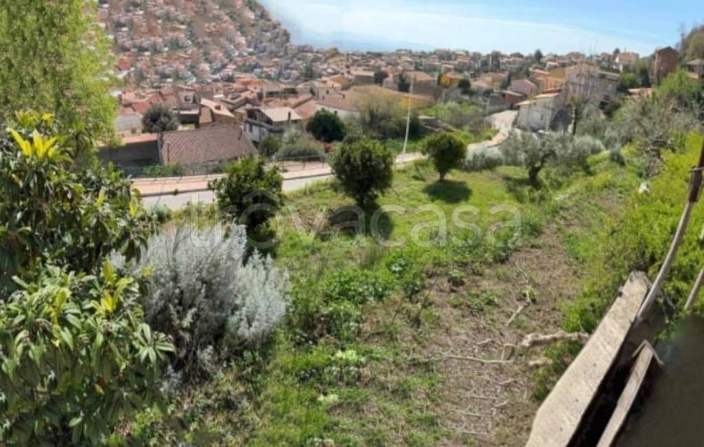 immagine annuncio 8 di 12