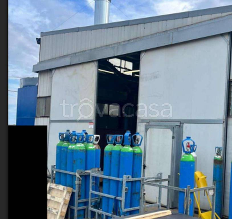 immagine annuncio 4 di 9