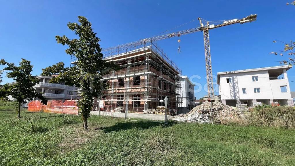 immagine annuncio 5 di 11