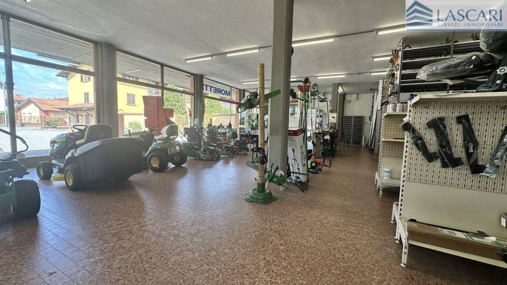 immagine annuncio 11 di 15