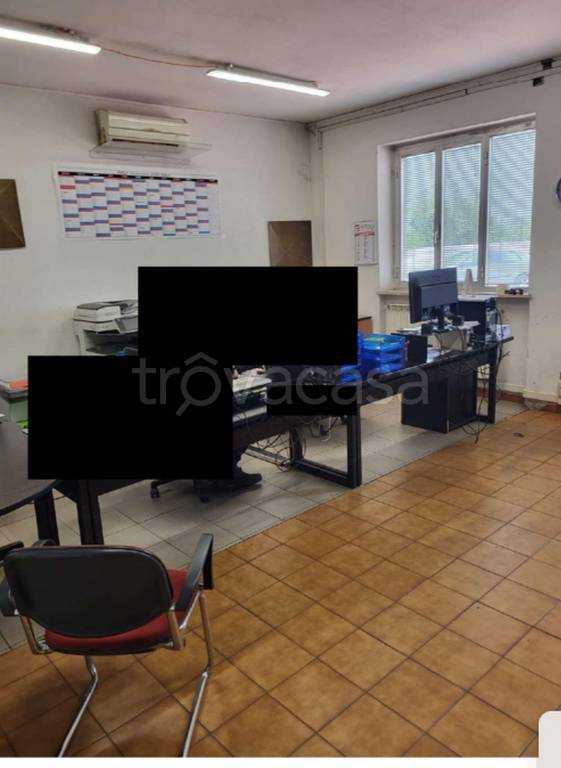 immagine annuncio 6 di 11