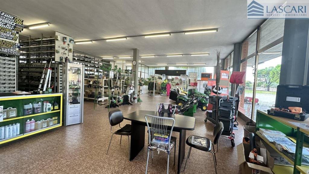 immagine annuncio 10 di 15