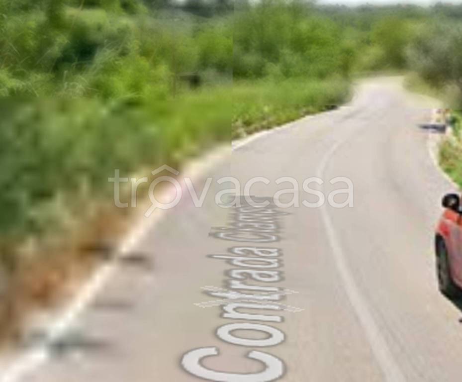 immagine annuncio 6 di 11
