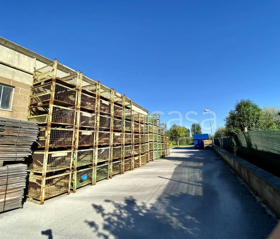 immagine annuncio 4 di 15