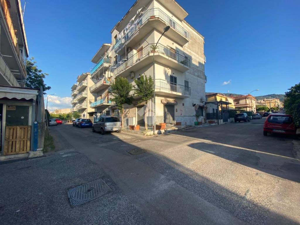 immagine annuncio 10 di 14