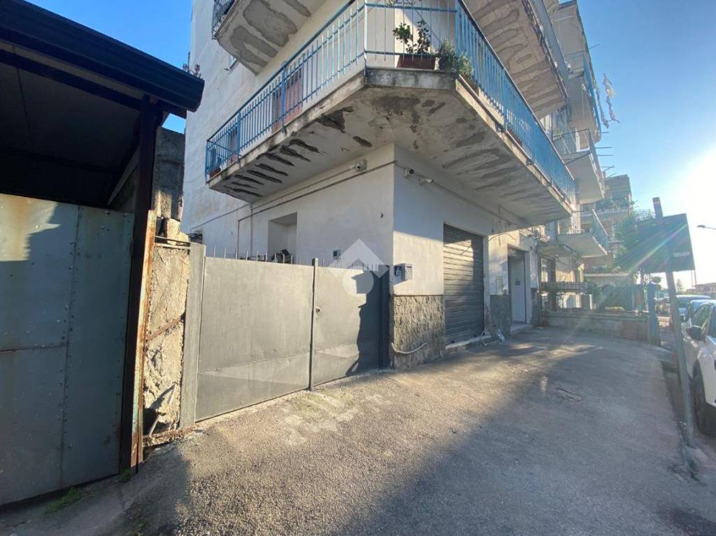 immagine annuncio 11 di 14