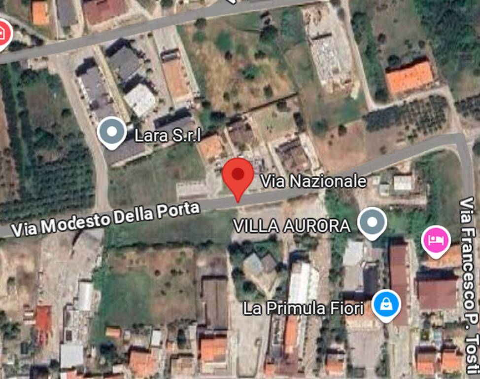 immagine annuncio 6 di 11