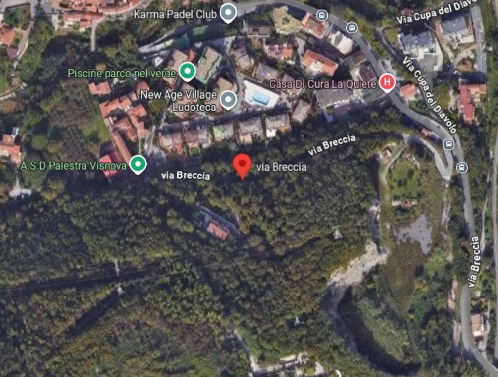immagine annuncio 2 di 14