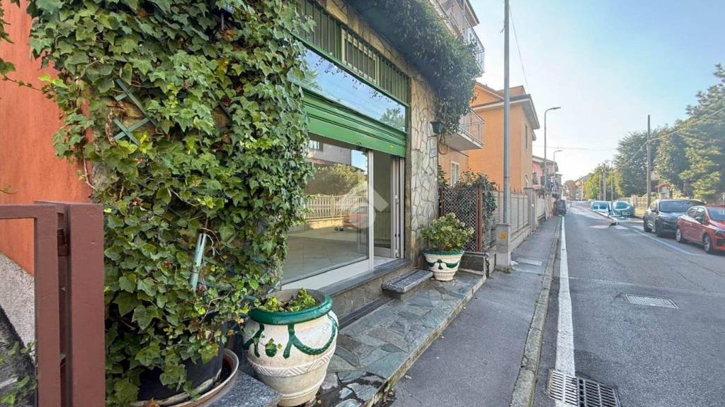 immagine annuncio 4 di 12