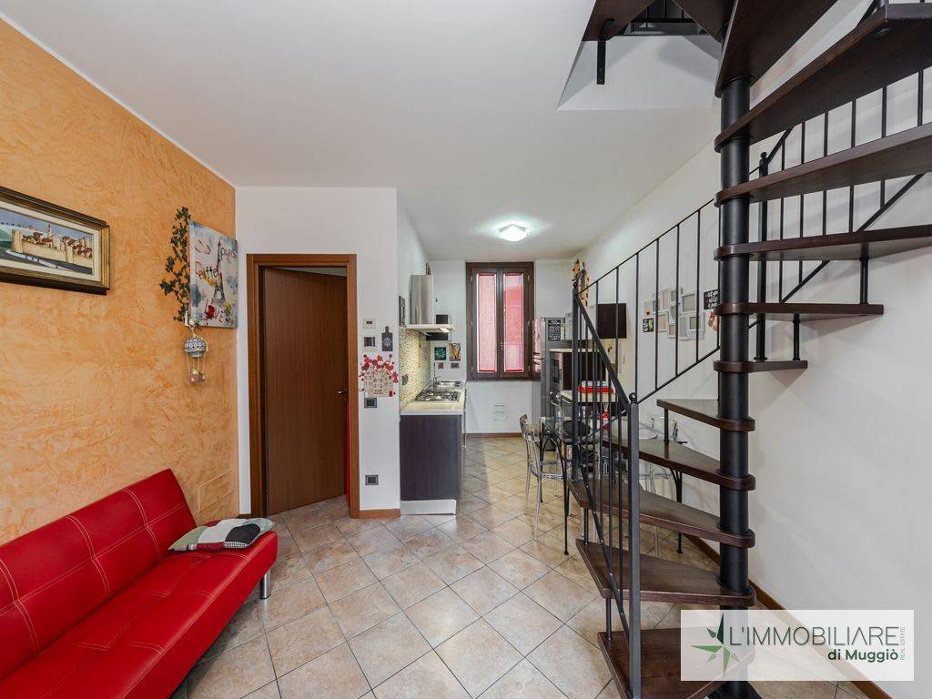 immagine annuncio 1 di 15