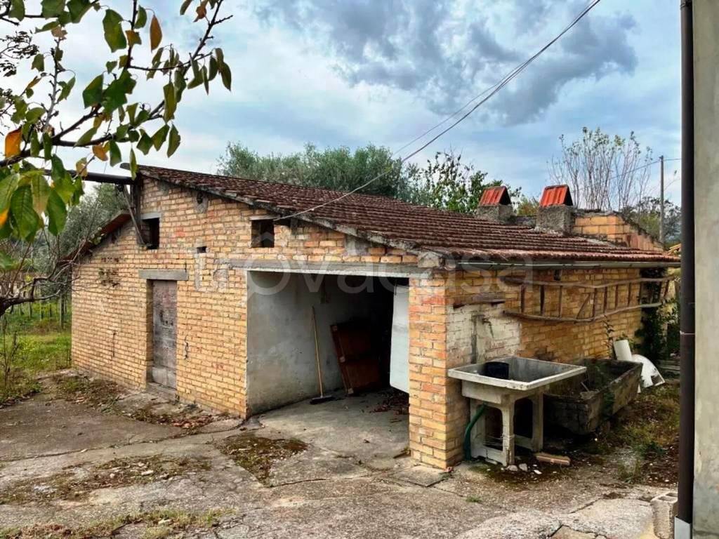 immagine annuncio 10 di 15