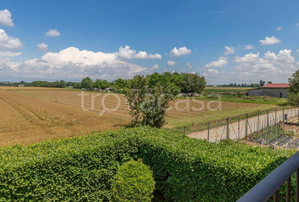 immagine annuncio 4 di 7
