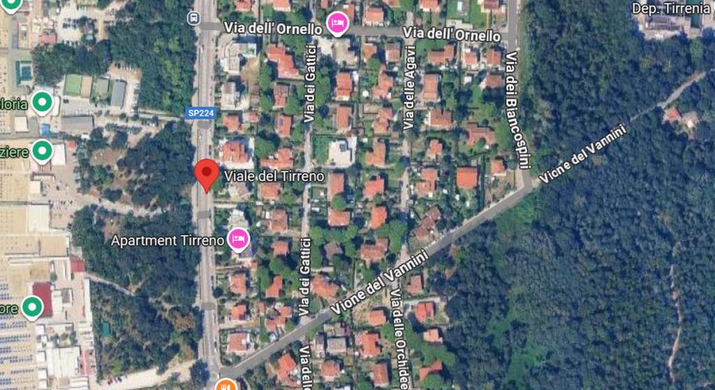 immagine annuncio 7 di 13