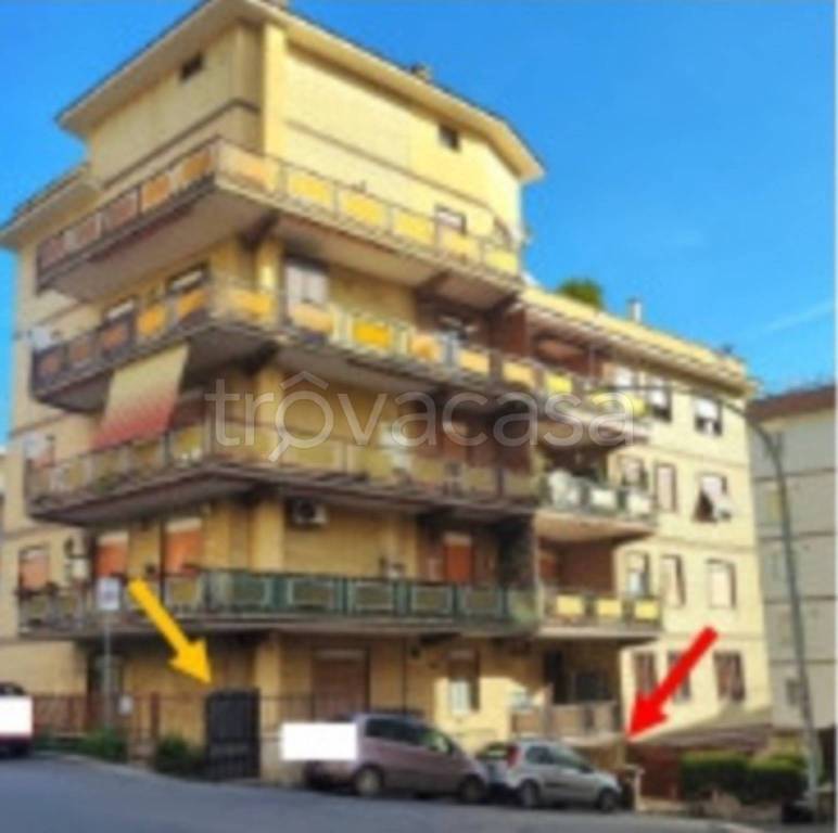 immagine annuncio 2 di 12