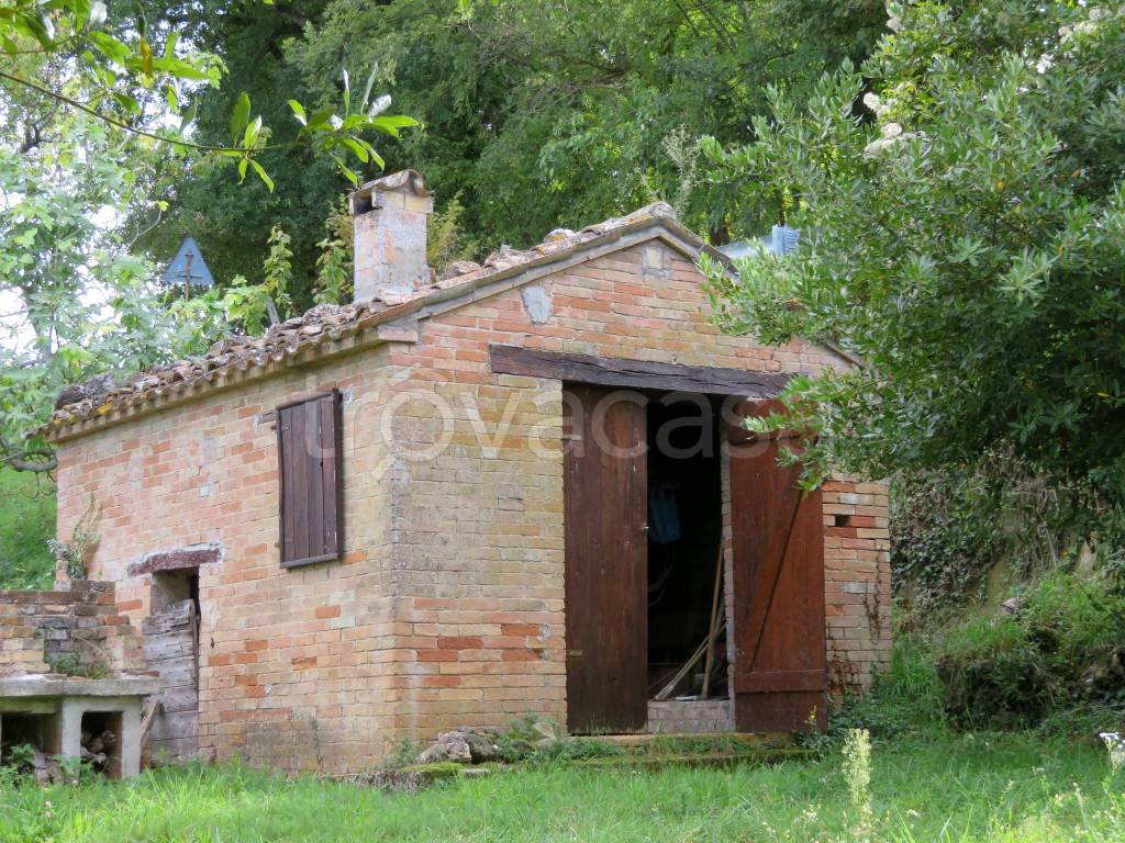 immagine annuncio 10 di 15