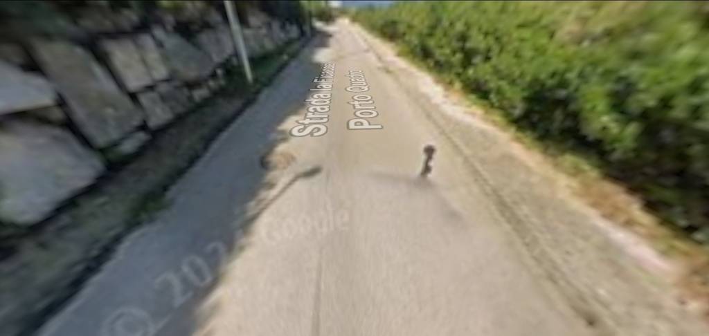 immagine annuncio 4 di 9