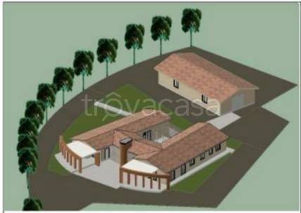 immagine annuncio 5 di 11