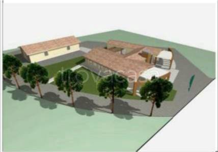 immagine annuncio 6 di 11