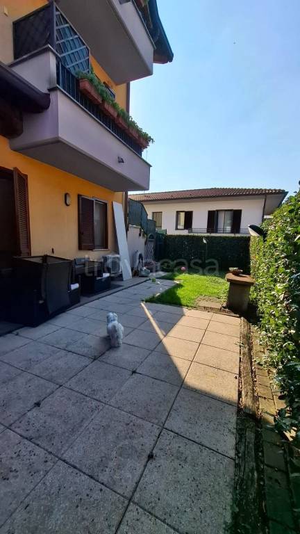 immagine annuncio 2 di 14
