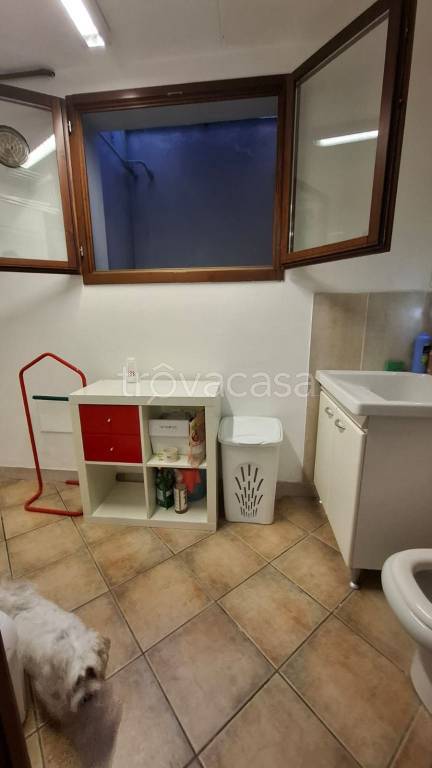 immagine annuncio 10 di 14