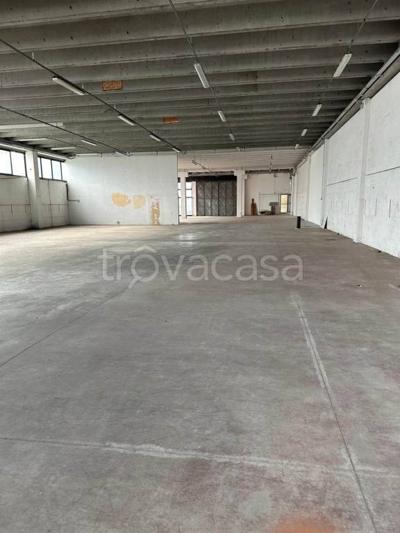 negozio in affitto a Pontedera