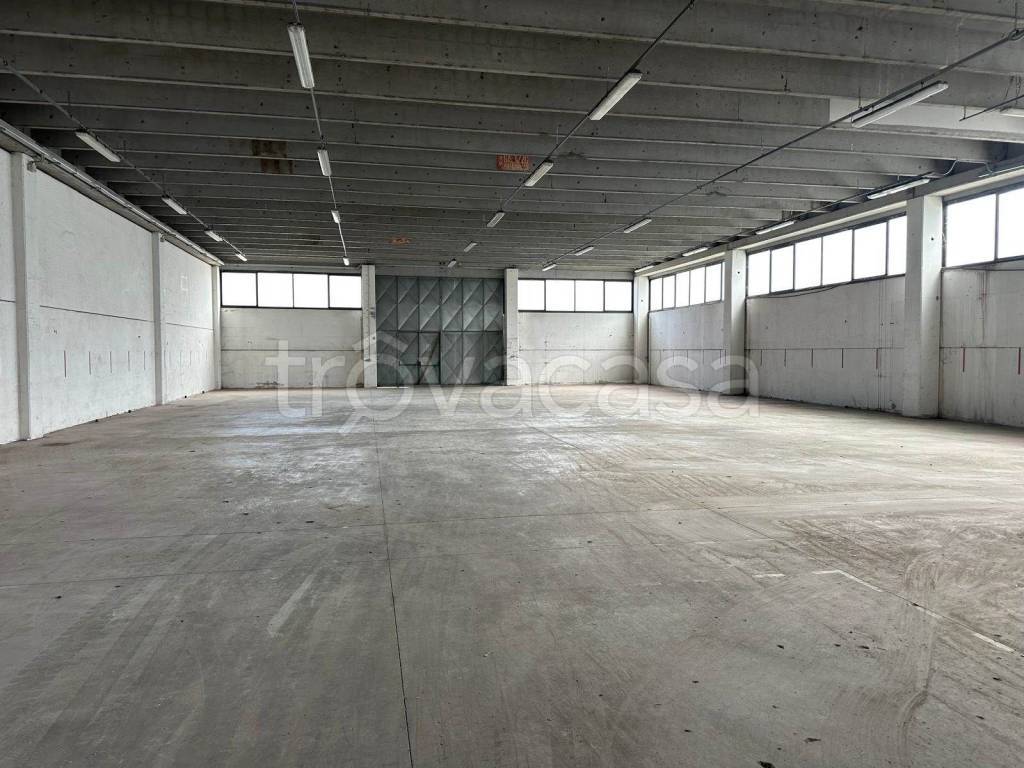 immagine annuncio 2 di 7