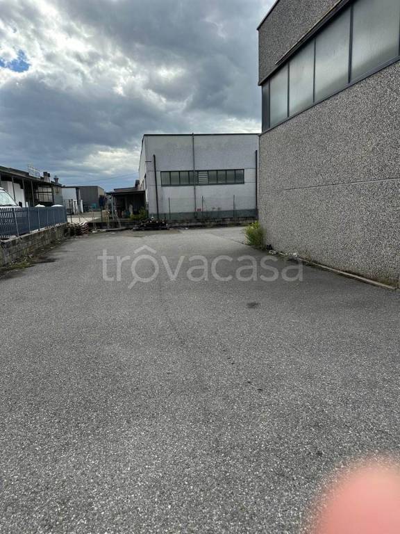 immagine annuncio 3 di 7