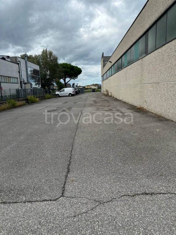 immagine annuncio 4 di 7