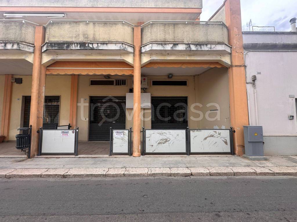 immagine annuncio 11 di 12