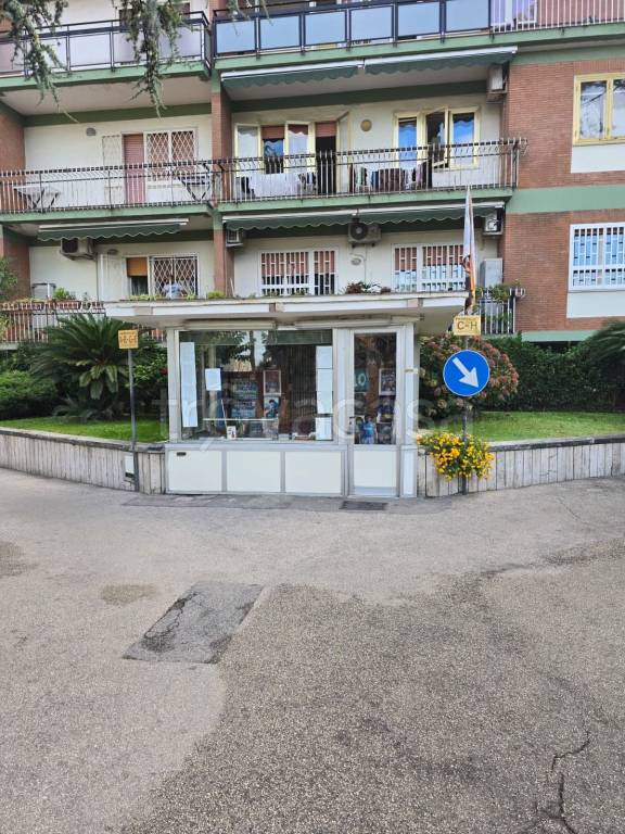 immagine annuncio 1 di 9