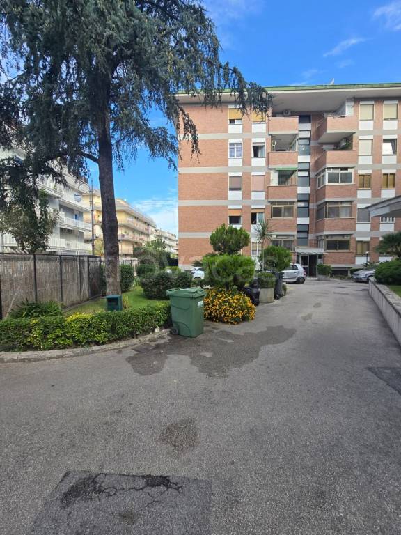 immagine annuncio 5 di 9