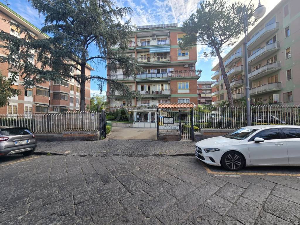 immagine annuncio 8 di 9