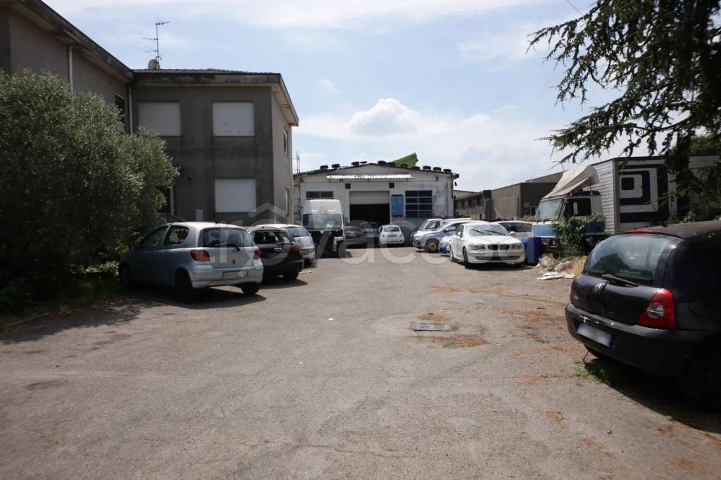 immagine annuncio 9 di 15