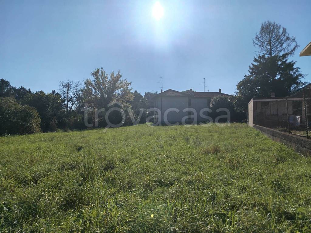 immagine annuncio 3 di 11