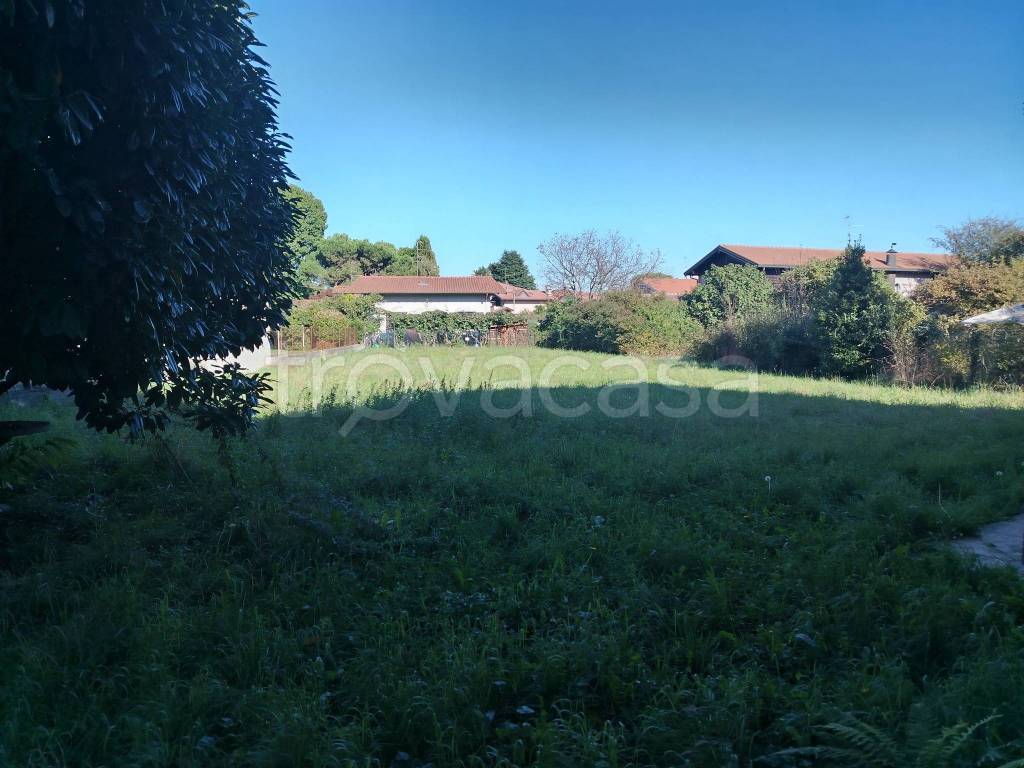 immagine annuncio 5 di 11
