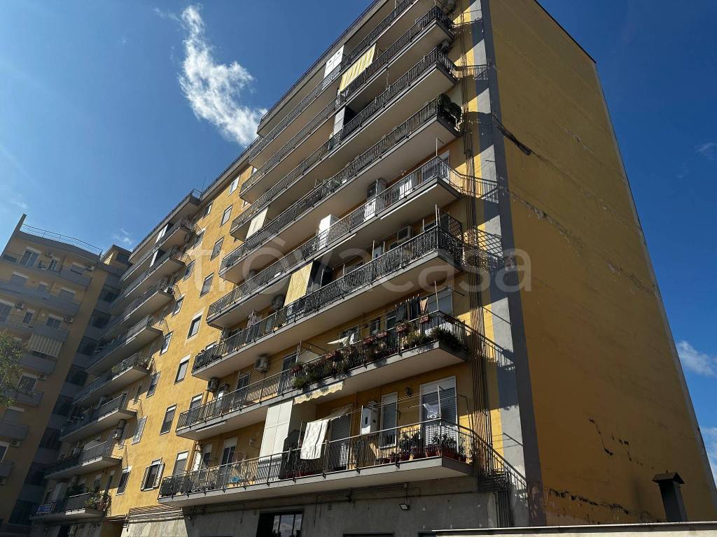 immagine annuncio 1 di 9