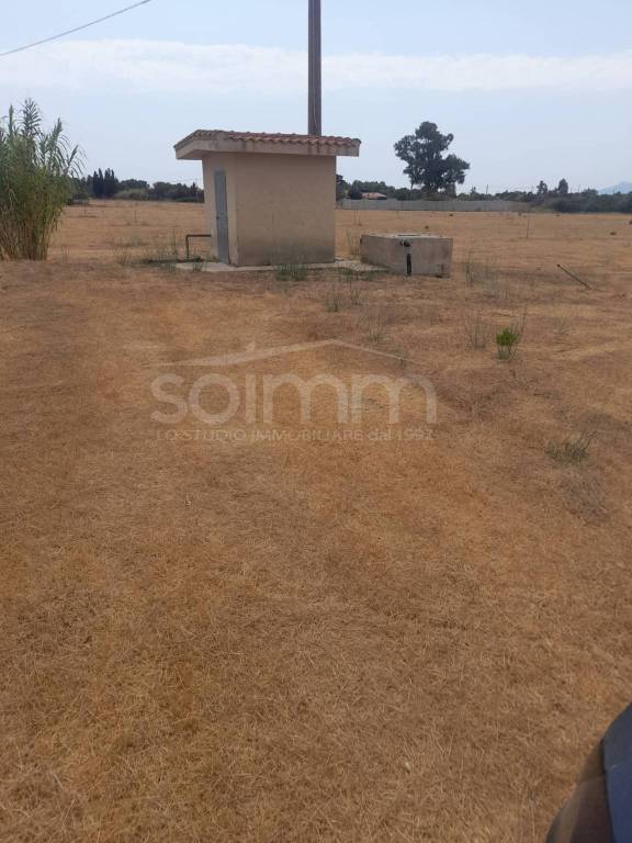 immagine annuncio 2 di 4