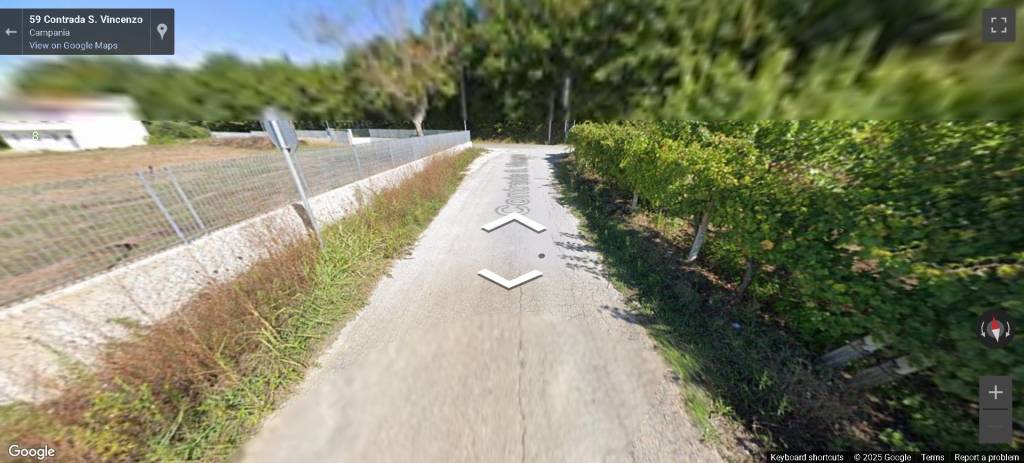 immagine annuncio 10 di 13